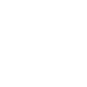 Ampol_logo_border.png
